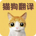 猫语翻译宝app