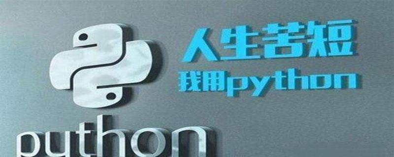 给Python初学者的一些编程建议