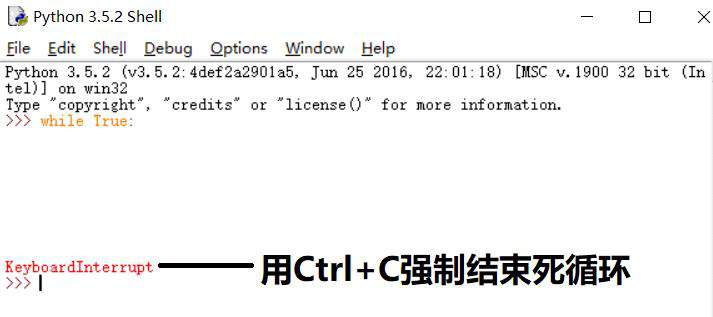 python如何终止程序运行