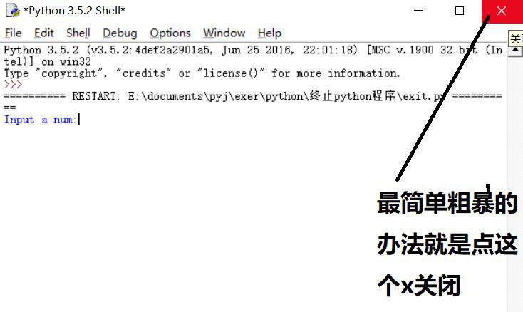 python如何终止程序运行