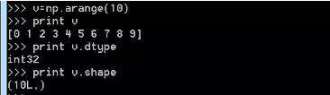 python中向量指的是什么意思