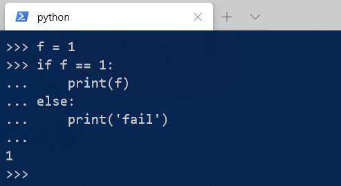 Python交互式怎么写if语句