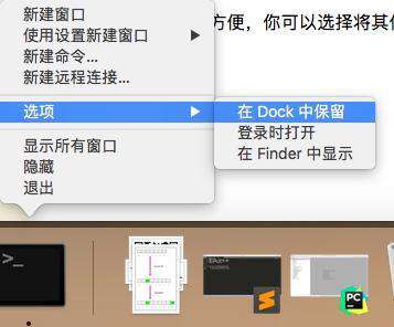 python里什么是终端？