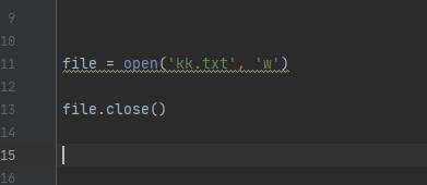python存储是什么文件类型
