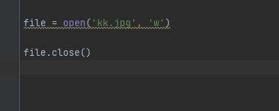 python存储是什么文件类型