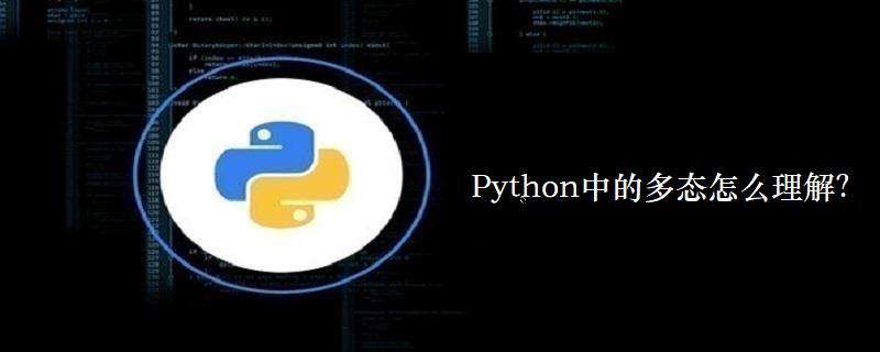 Python中的多态怎么理解？