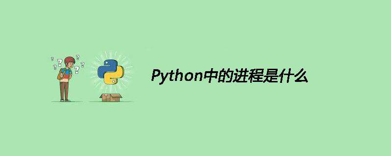 Python中的进程是什么