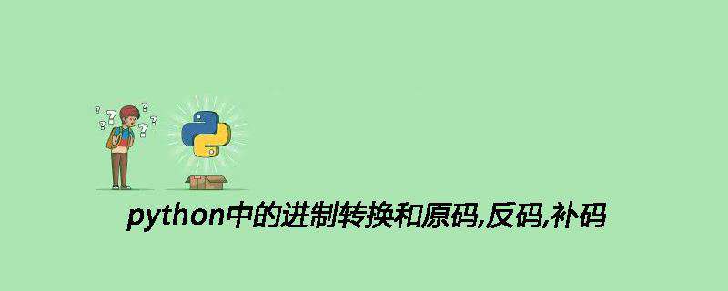 python中的进制转换和原码,反码,补码