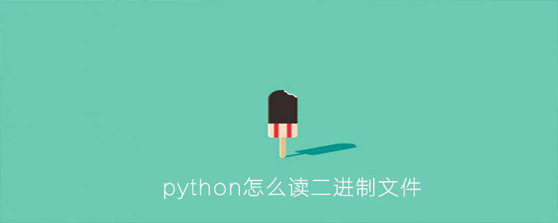 python怎么读二进制文件