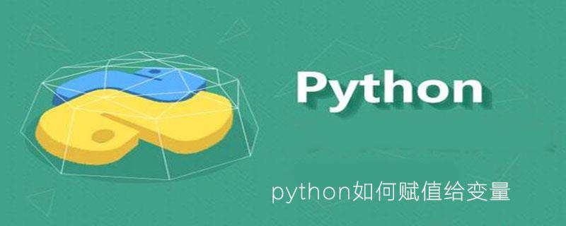 python如何赋值给变量