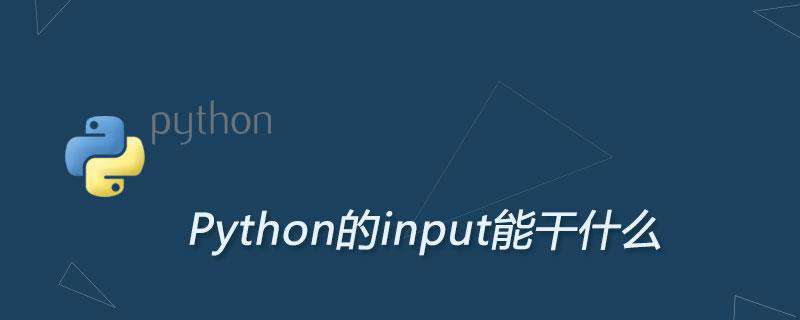 Python的input能干什么