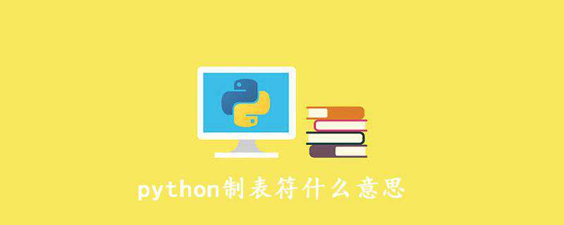 python制表符什么意思
