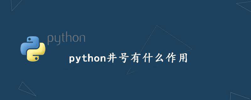 python井号有什么作用