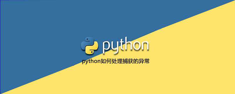 python如何处理捕获的异常
