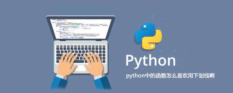 python中的函数怎么喜欢用下划线啊