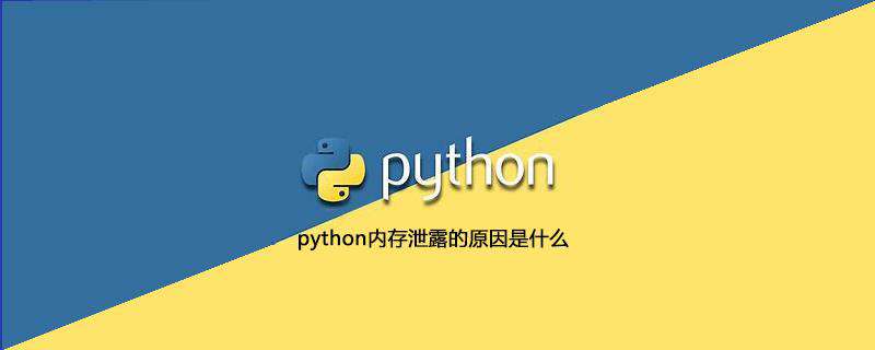 python内存泄露的原因是什么