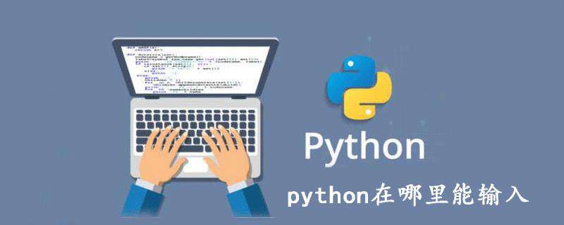 python在哪里能输入