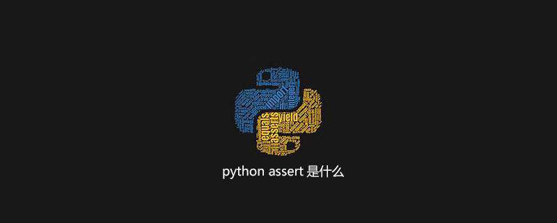 python assert是什么