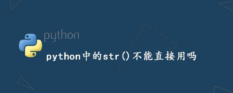 python中的str()不能直接用吗