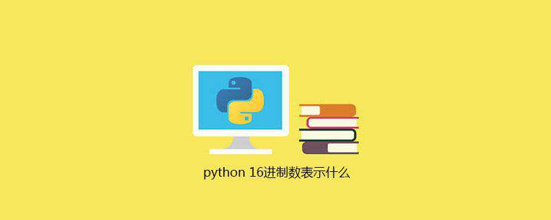 python 16进制数表示什么