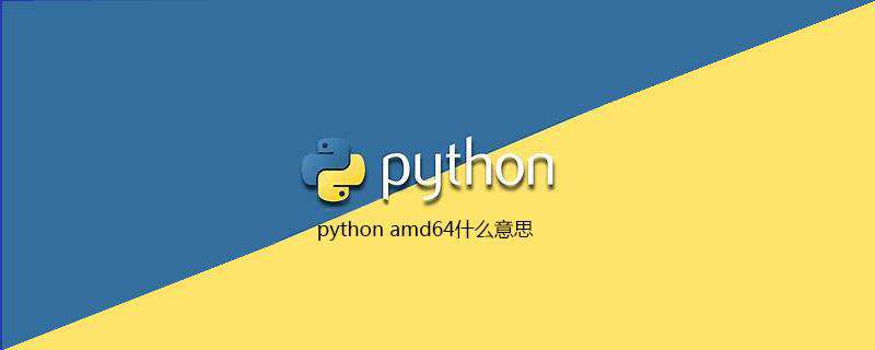 python amd64什么意思