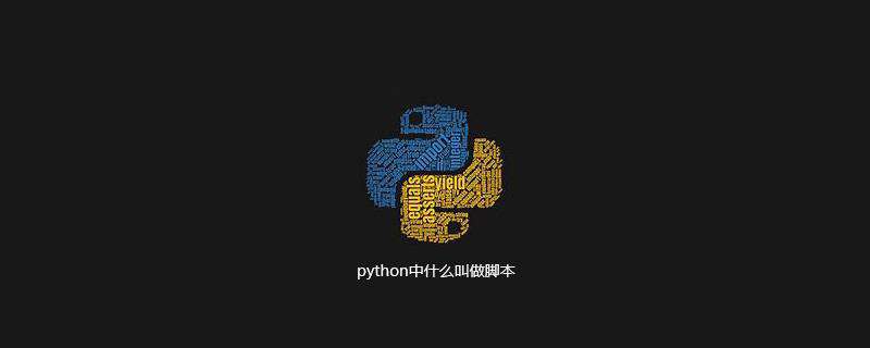 python中什么叫做脚本