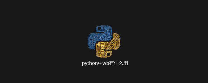 python中wb有什么用