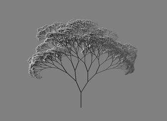 用Python能画哪些树？