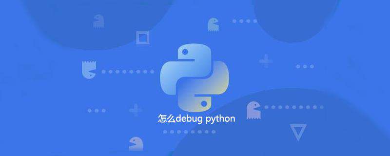 怎么debug python
