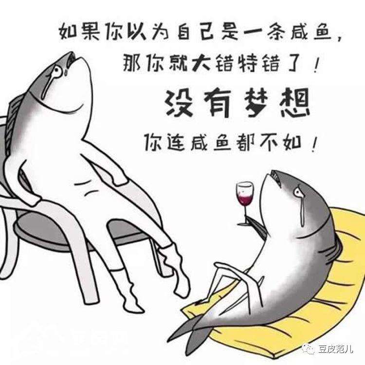 程序媛自己的故事之踏上前端路