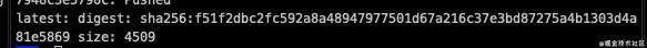 Jenkins + nexus 实现前端构建