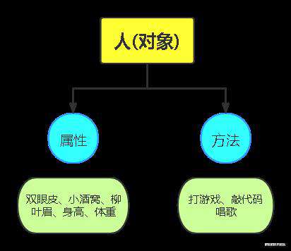 js说：这就是对象