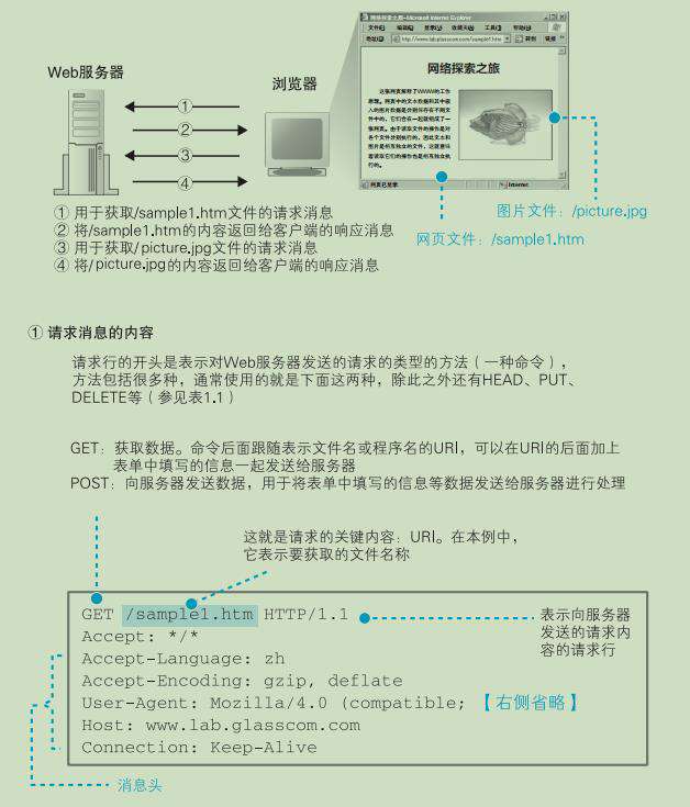 连肝7个晚上，总结了计算机HTTP网络协议的知识点