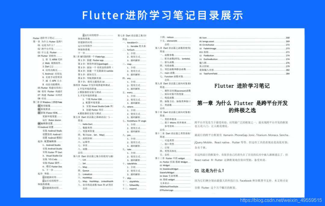 灵魂拷问：flutter构建应用的方式是否是一种倒退？