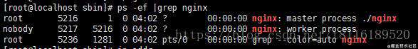 LINUX安装nginx详细步骤---2021