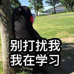 买了课程我不学，放着发霉也不看，哎~就是玩儿