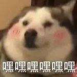 设计方案，写了才知道有多香