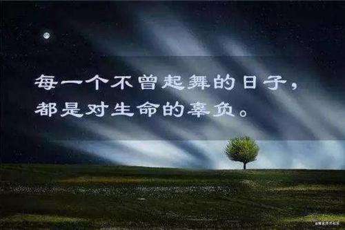 是时候从vue2  迁移到 vue3了  （系列一）