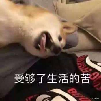 使用axios阻止多余的请求（007，久违的更新）