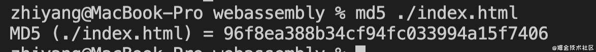 WebAssembly从入门到实现文件md5