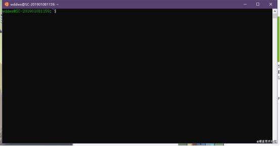 windows上无法运行sentry？没关系，我教你！