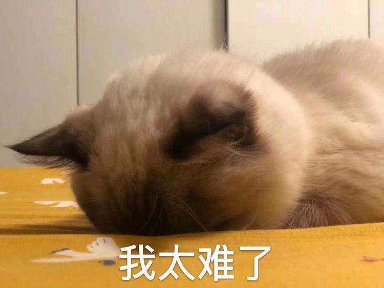 我离职了