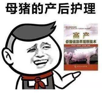 文章发布后的阅读量只有个位数该怎么办？| 创作者训练营第二期