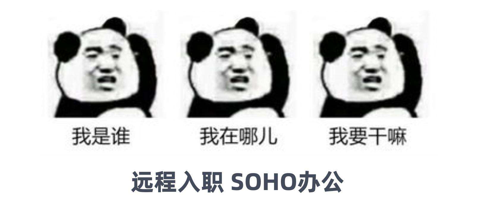 一个小小前端的 2021 年流水账