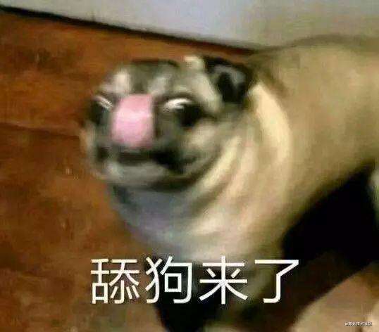 又快又小的 Vite