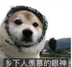 一年，四家公司，春招秋招从0到1-淡月的2021年年终总结 | 掘金年度征文