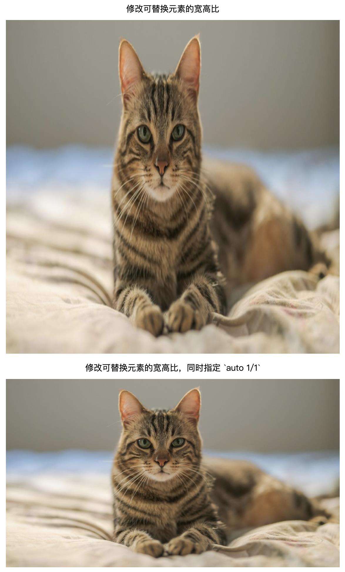 元素固定宽高比这么写太香了 - Chrome 支持 aspect-ratio 了