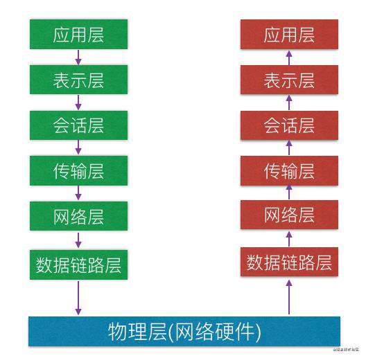 终于懂了网络七层模型