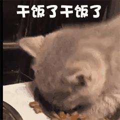 涨姿势了！22 个拓展程序员技术与视野的国外网站！