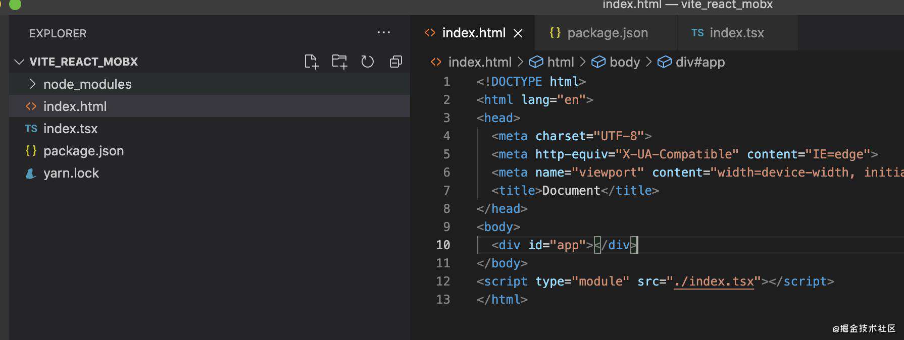 ✋手摸手系列(一/1)： vite react typescript reactHook mobx(非脚手架)（从0开始）(包含路由权限控制)